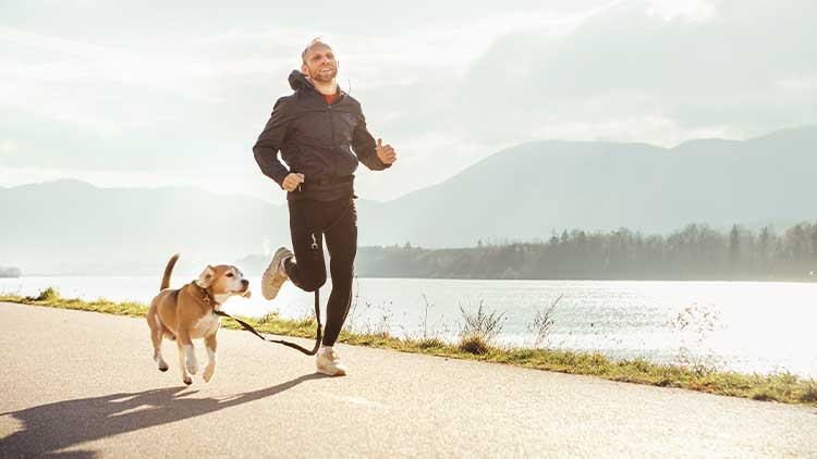  Morning jogging with pet: man runs together with his beagle dog