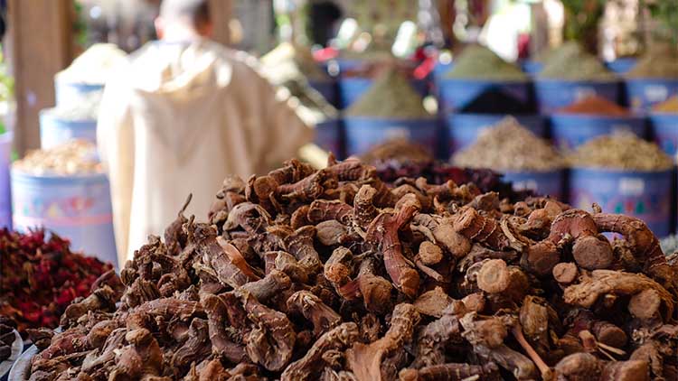 Pile of dried ginseng roots in a traditional spice shop on the bazaar in Marrakesh, Morocco