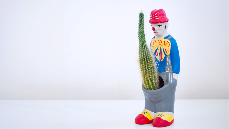 Clown with cactus instead of penis