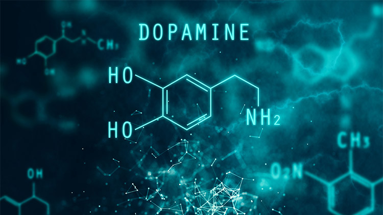 dopamine chemical formula