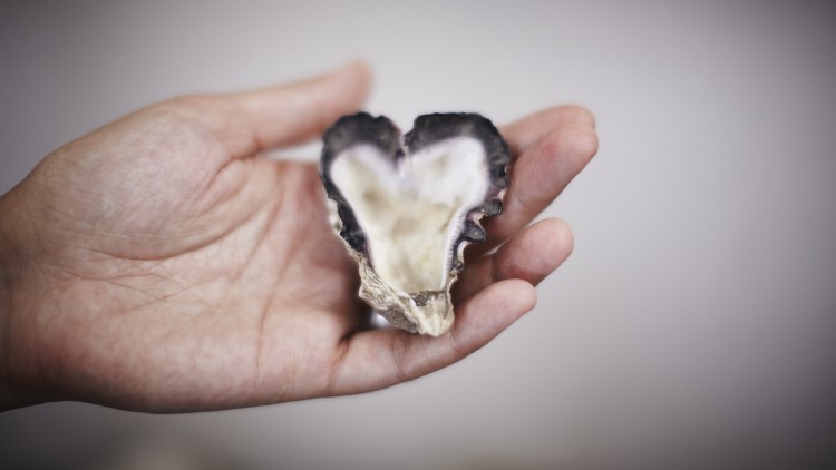 Heart shaped oyster in man's hand