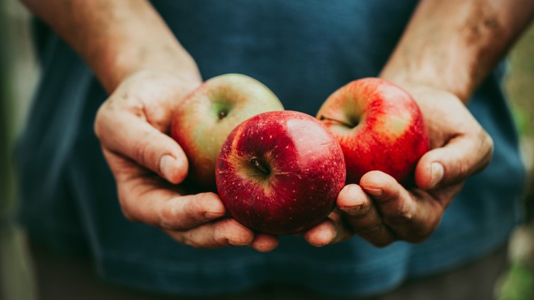 Man holding three apples closeup